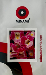 Торения Фурнье Каваи роуз 14шт.