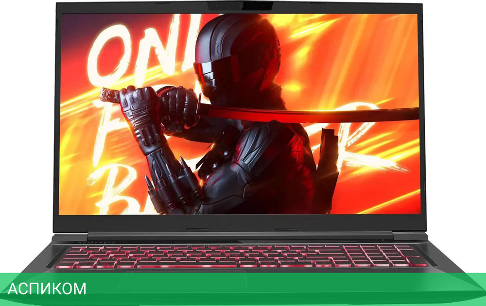 Игровой ноутбук Maibenben X725 X725FSFNLBRE0