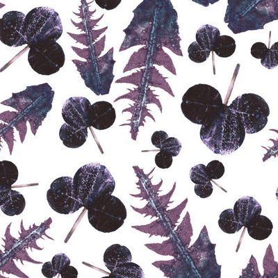 Фиолетовые листья клевера и одуванчика №1.