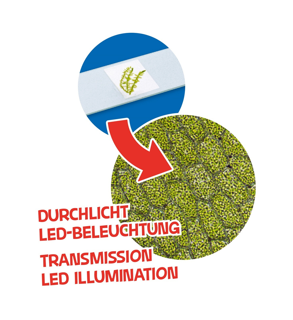 Микроскоп Bresser Junior 40x-640x