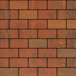 Тротуарная плитка форма Прямоугольник коллекция Листопад гладкий