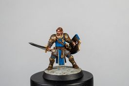 Миниатюра Magnetic Heroes: The Fighter