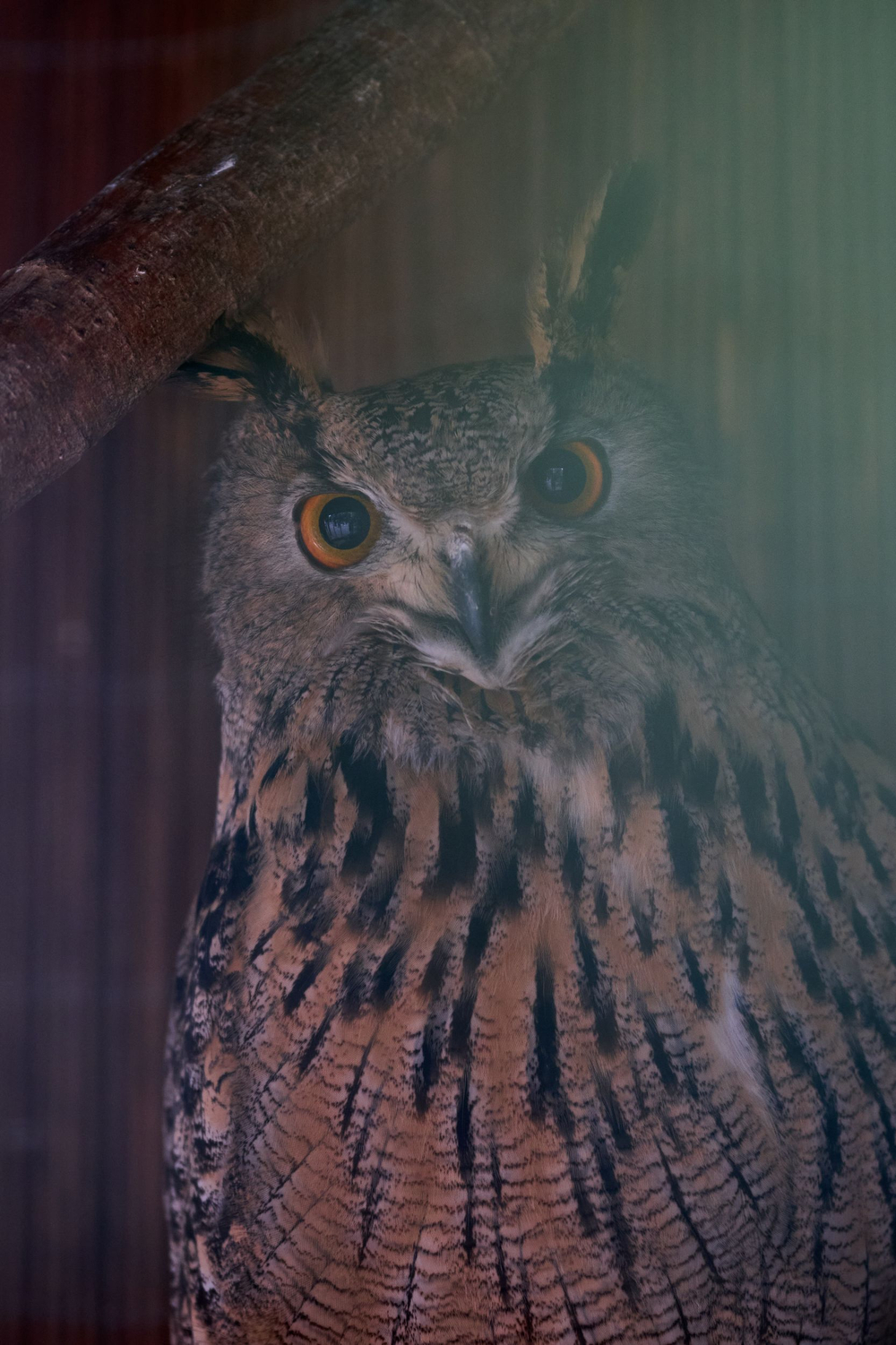 Праздник в стиле Гжель