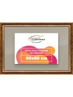 Рамка для постера и фотографий 50x85