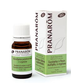Натуральное эфирное масло Эвкалипт многоцветковый, криптоновый БИО, Pranarom