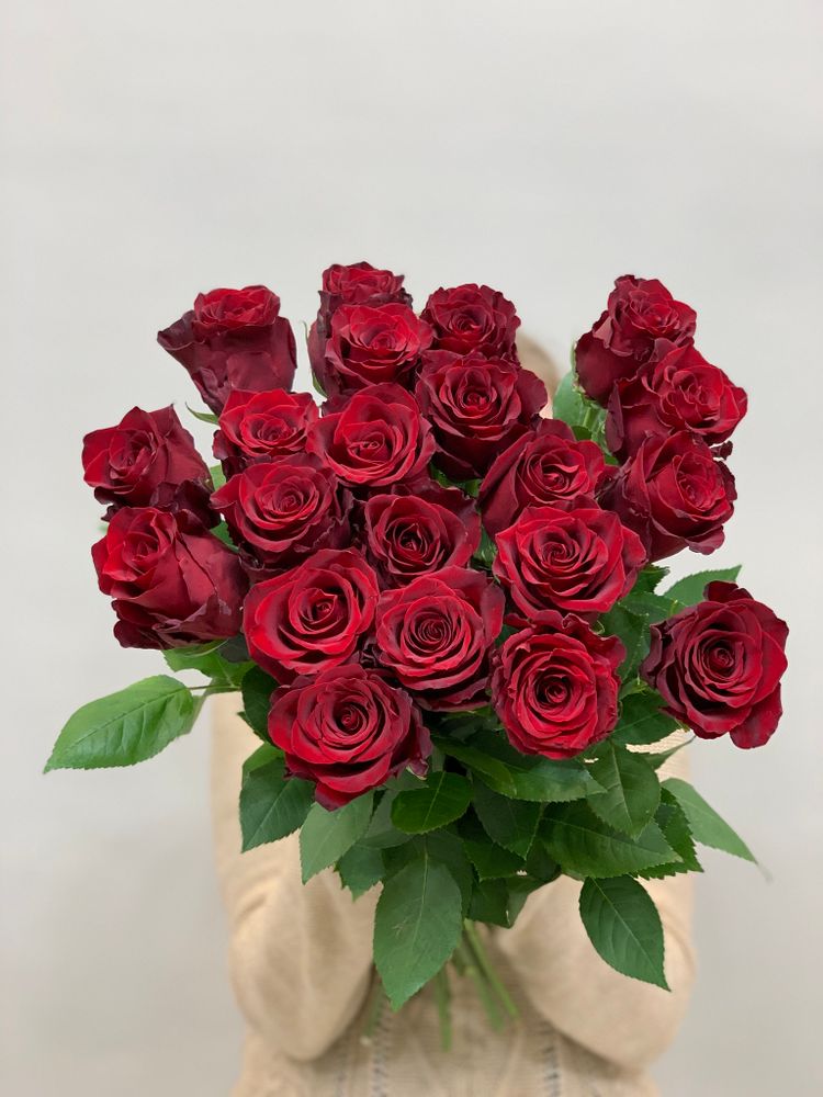 Букет 21 красная роза Эквадор 60см в ленте