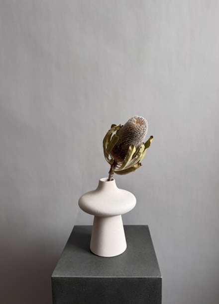 Банксия Бурдетта натуральная