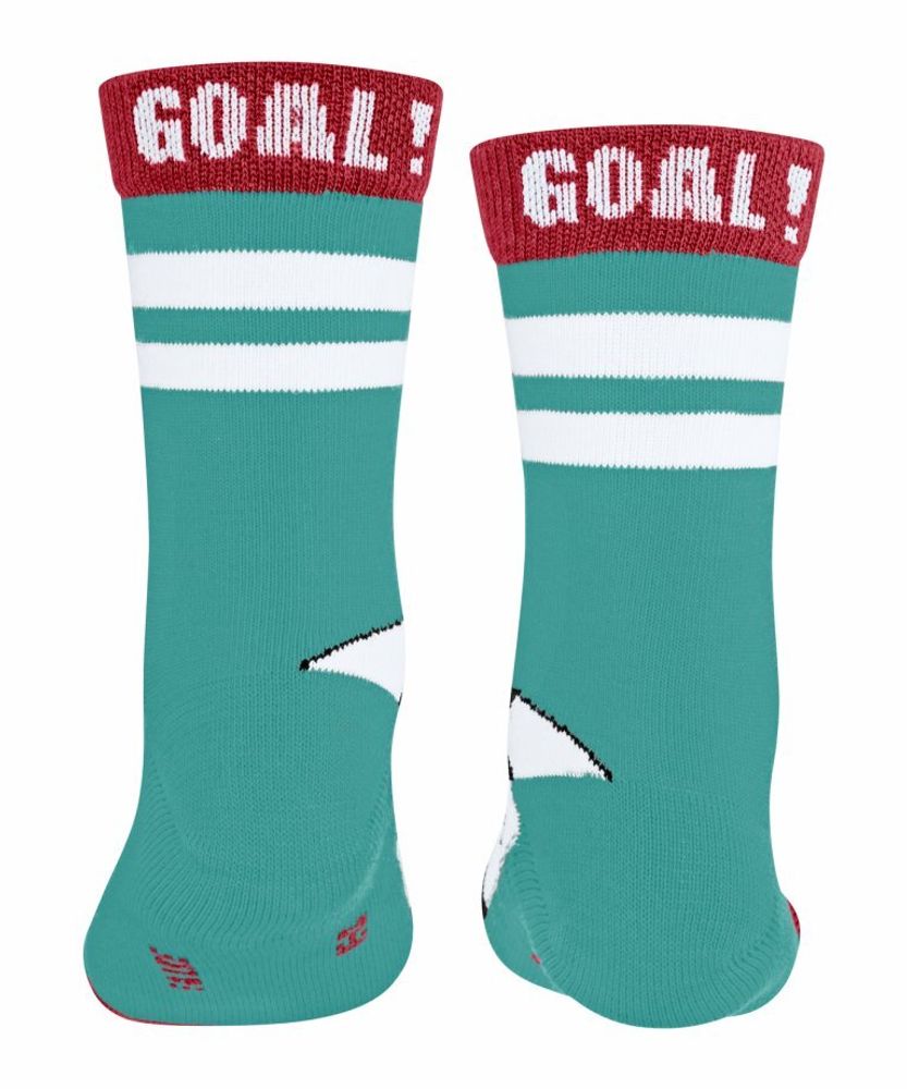 Носки Active Soccer FALKE 12933/7332