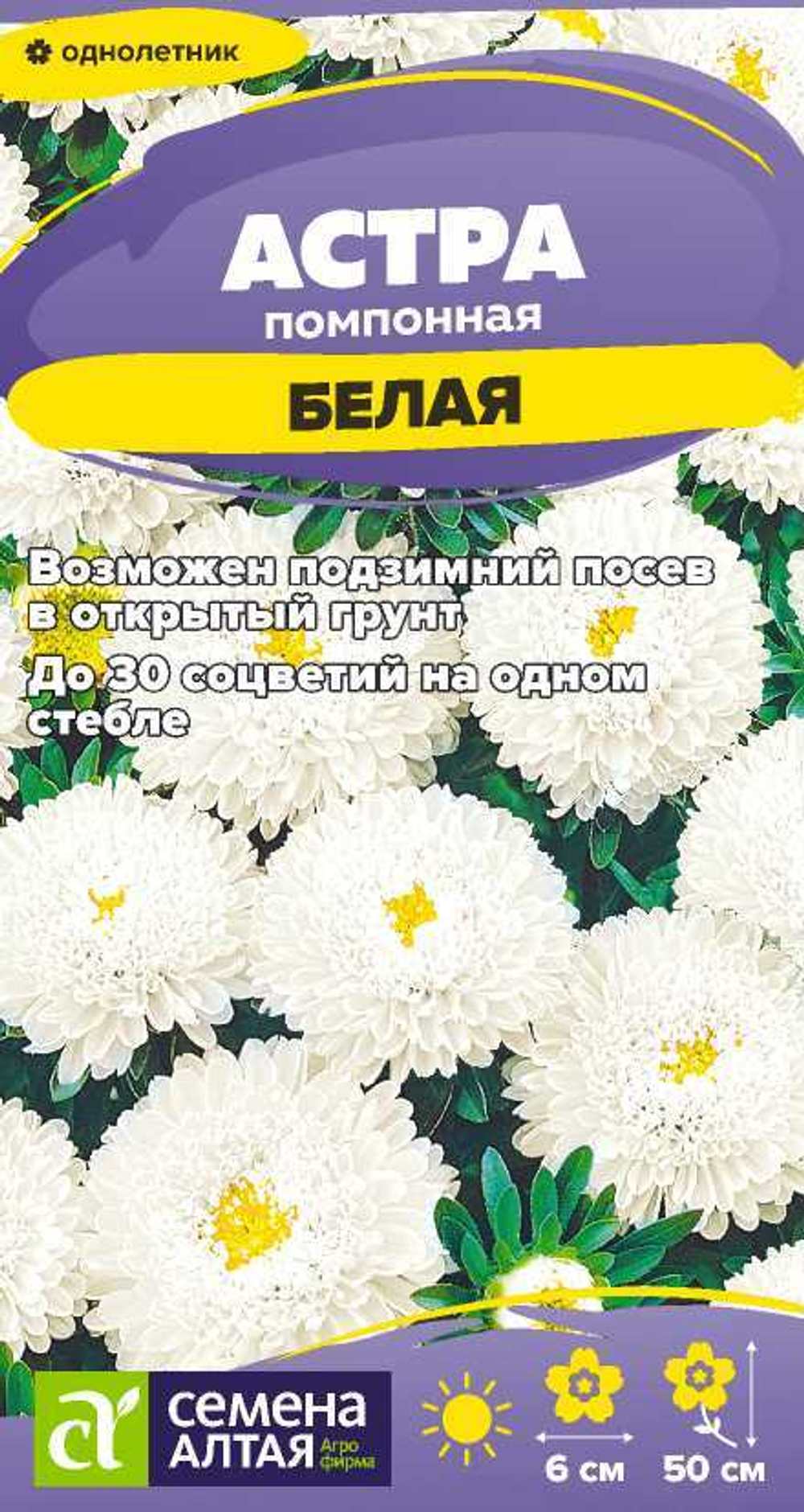 Астра Помпонная Белая 0,2г Семена Алтая