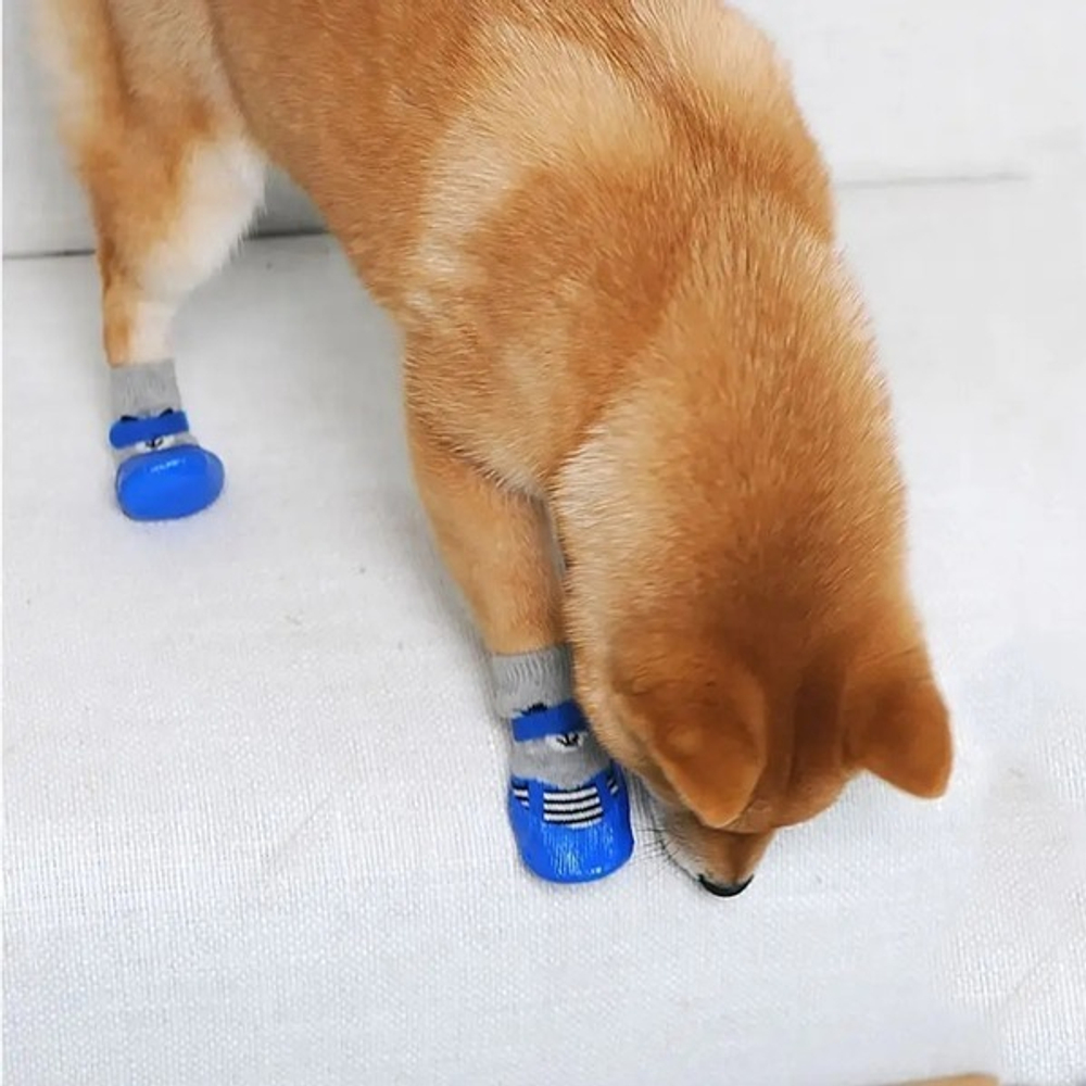 Башмачки для животных прорезиненные на дождливую погоду «LAPUSIK», цвет голубой, размер s, 3,5см