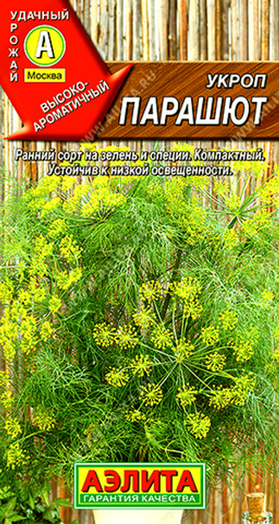 Укроп Парашют