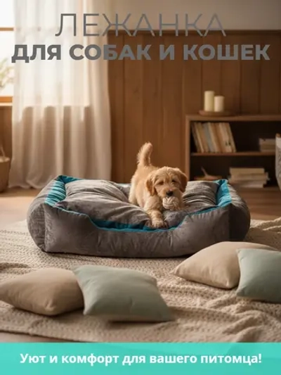 Лежанка