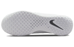 Кроссовки Nike Court Zoom Nxt Hc