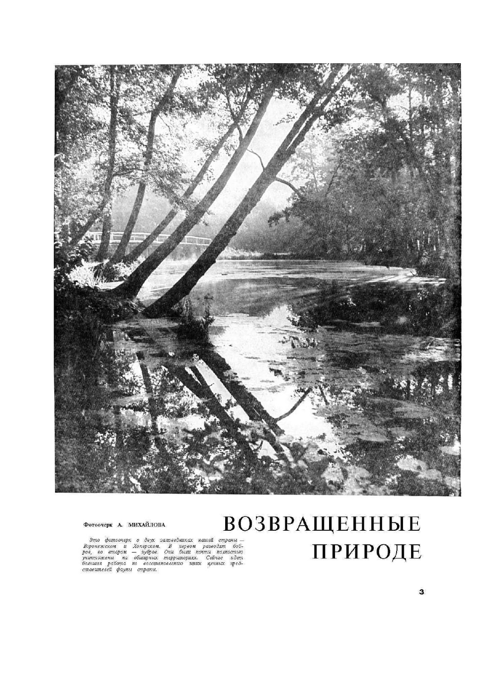 Журнал "Вокруг Света". №12, декабрь 1963 | коллектив авторов