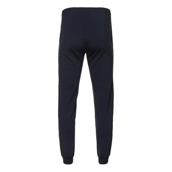 Брюки мужские, размер L, цвет тёмно-синий