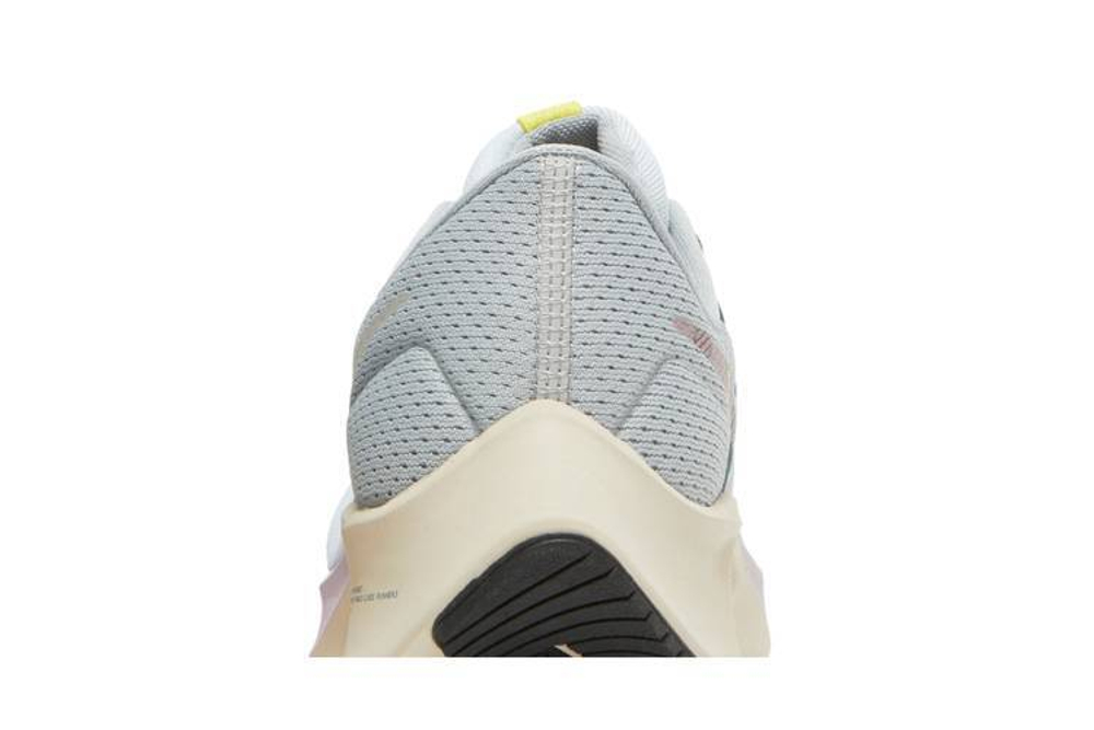 Кроссовки Nike Pegasus 38 Zoom Prm (Женская размерная сетка)