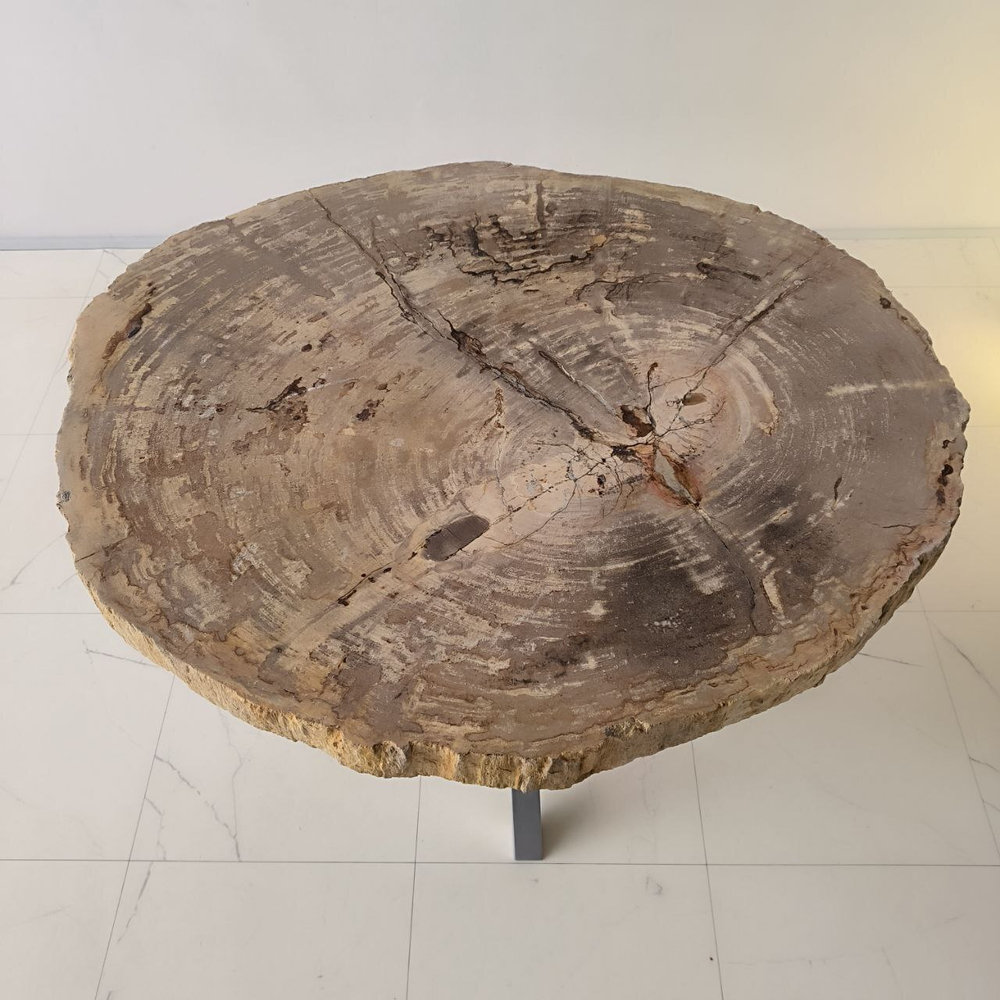 Столешница из окаменелого дерева ST-64171 Джоко (0136) 89*77*6