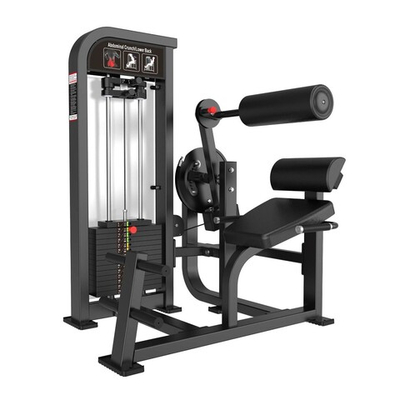 Скручивания/разгибание спины Protrain CP136