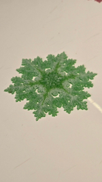 Новогодний магнит на холодильник снежинка, 3D печать, 10 см., зеленая