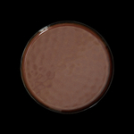 shop_items_catalog_image748299a03ebbea131c0d22b220f044810ec783