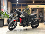 Triumph Trident 660 Gray
