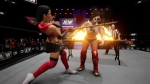 Игра AEW: Fight Forever (Английская версия) для PlayStation 5