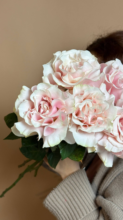 Охапка роз сорта pink mondial 5шт