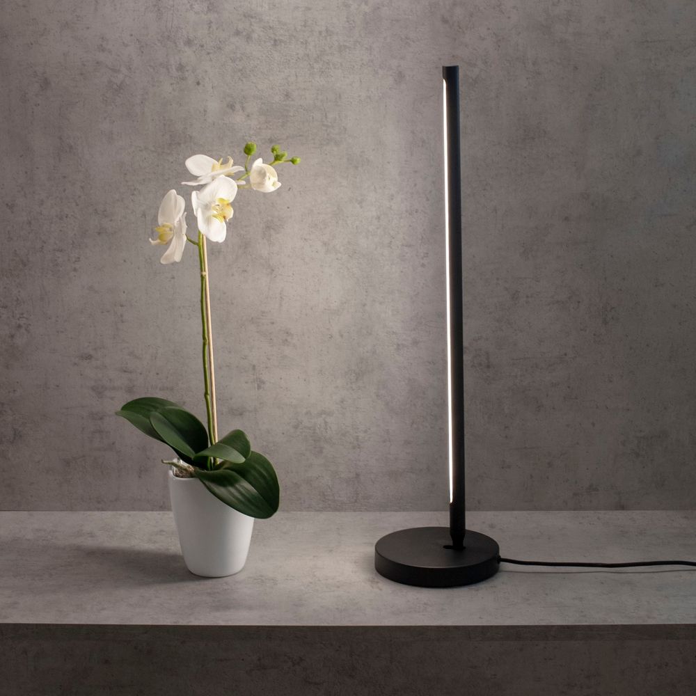 6738 Настольная лампа TORCH