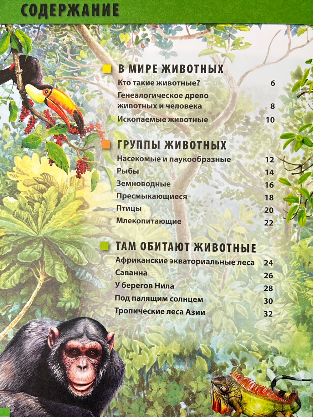 Большая энциклопедия для маленьких любознашек