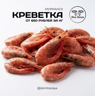 Креветка Мурманская от 650 рублей!