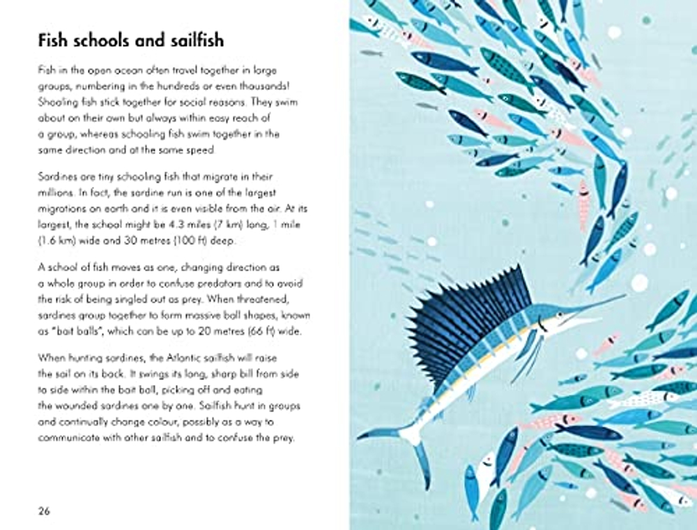 Ladybird Book: Sea Creatures 