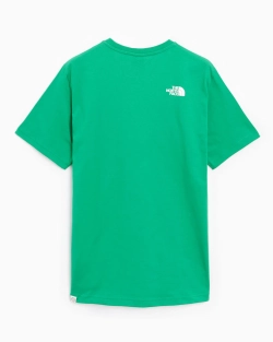 Футболка мужская The North Face Men’s Berkeley California S/S Tee- In Scrap Mat