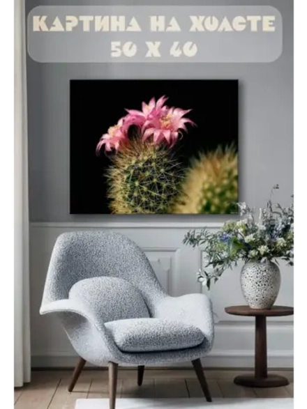 Картина на стену 40 X 50 Цветущий кактус