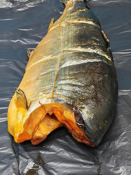 Морепродукты