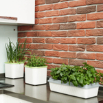 Чудо грядка двойная