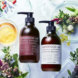 Шампунь с биотином и натуральными маслами Superfood Lab Biotin Oil Shampoo