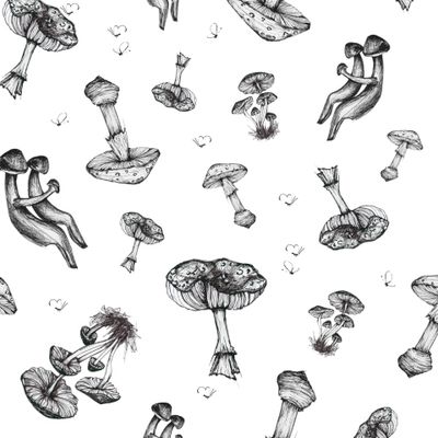 Грибы и бабочки