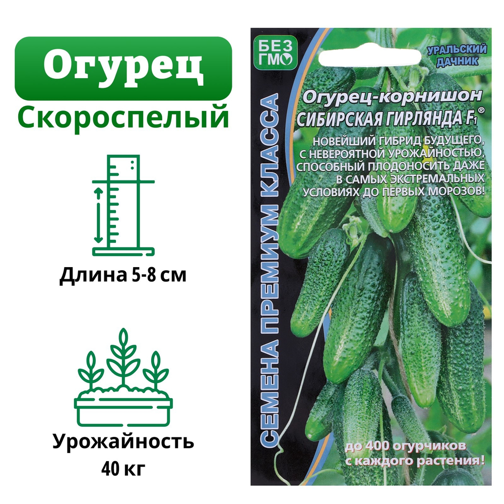 Огурец Сибирская Гирлянда F1, 5 шт