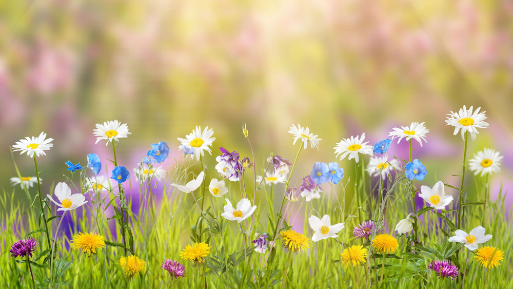 Под удаление v.1