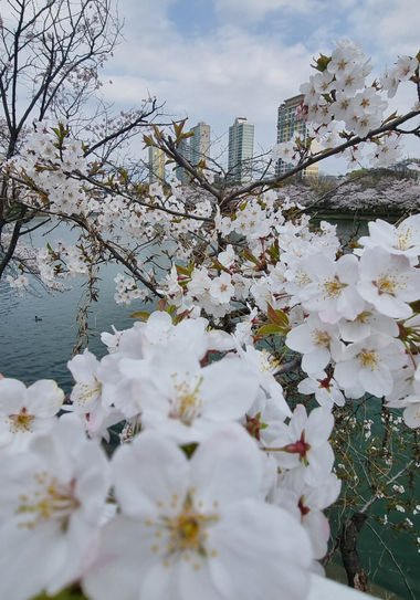 Весенние туры