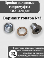 Пробки заливные гидромуфты КИА, Хендай (2 штуки оба варианта)