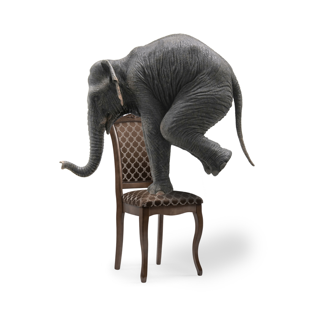 Стул деревянный Woodville Луиджи орех, коричневый, ножки орех