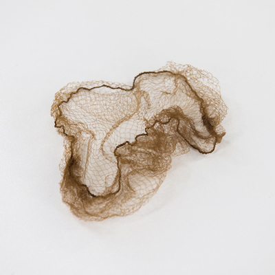 ASS 08-01-01 | Сеточка для укладки волос