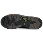 Кроссовки Air Jordan 6 Retro GS Alligator