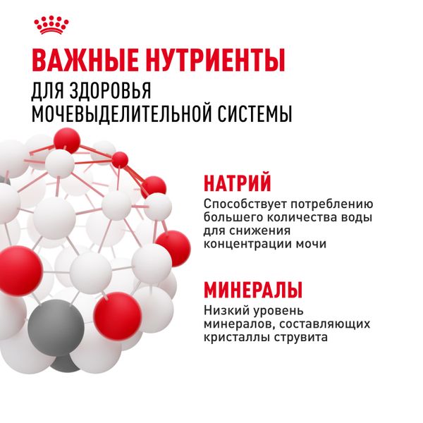 Сухой корм Royal Canin Mini Urinary Care для собак мелких размеров с чувствительной мочевыделительной системой