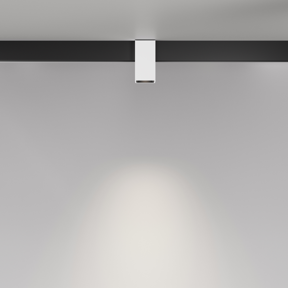 Магнитный трековый светильник Maytoni Alfa TR121-2-7W4K-W