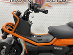 Honda PS250 Big Ruckus , 2006
