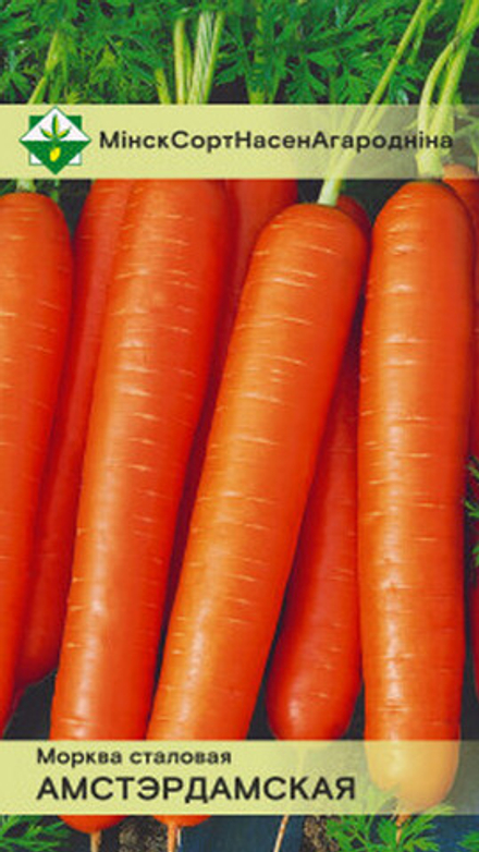 Морковь "Амстердамская " 1,5г, Германия.