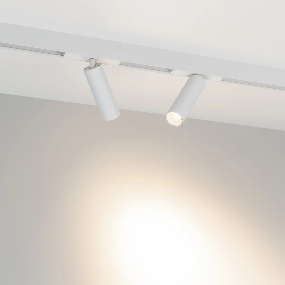 Светильник MAG-SPOT-25-R120-12W Day4000 (WH, 30 deg, 24V) (Arlight, IP20 Металл, 5 лет) 050076