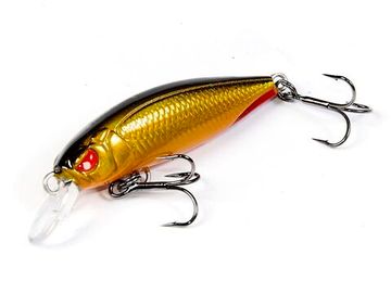 Воблер плавающий LJ Pro Series BASARA F 04.00/107